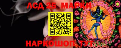 индика Нальчик