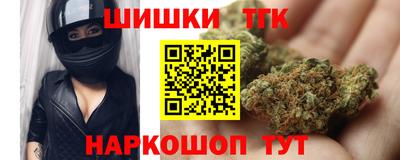 индика Нальчик