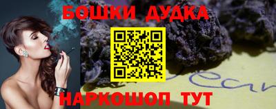 индика Нальчик