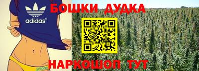 индика Нальчик