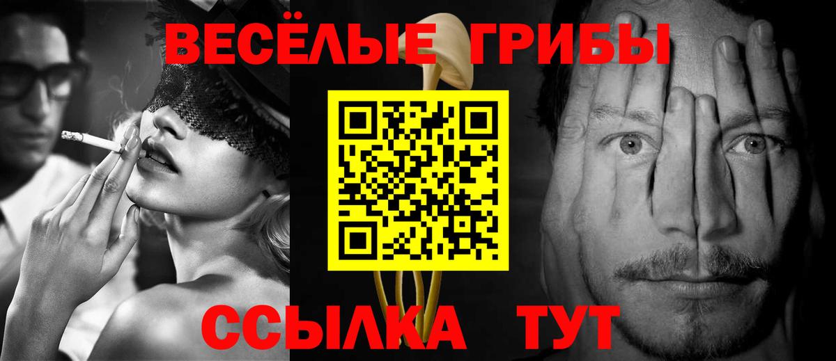 Псилоцибиновые грибы Psilocybine cubensis  Вход с VPN  Ялта 